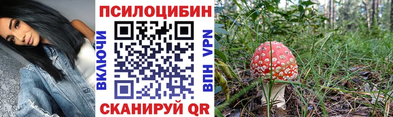 Купить закладки  Волгореченск  Галлюциногенные грибы Magic Shrooms 